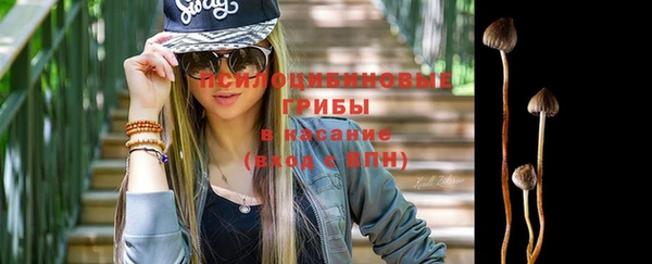 прущая мука Верея
