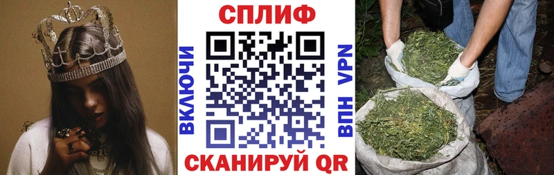 где найти   Верея  Канабис план 